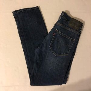 Levi’s 510 Two Horse Brand Skinny Jeans (B20)